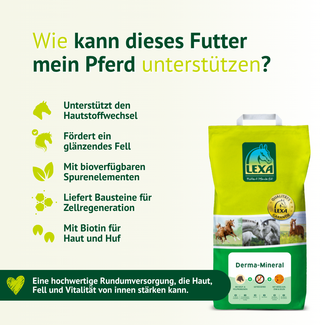 LEXA Derma-Mineral unterstützt Hautstoffwechsel, Zellregeneration und glänzendes Fell