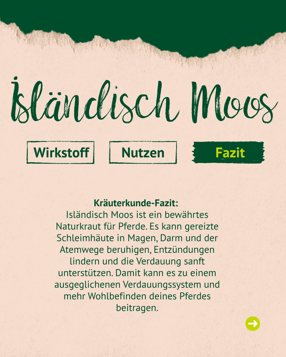 Textübersicht zu isländischem Moos mit den Abschnitten Wirkstoff, Nutzen und Fazit. Das Fazit beschreibt isländisches Moos als bewährtes Naturkraut für Pferde zur Beruhigung von Schleimhäuten und Unterstützung der Verdauung.