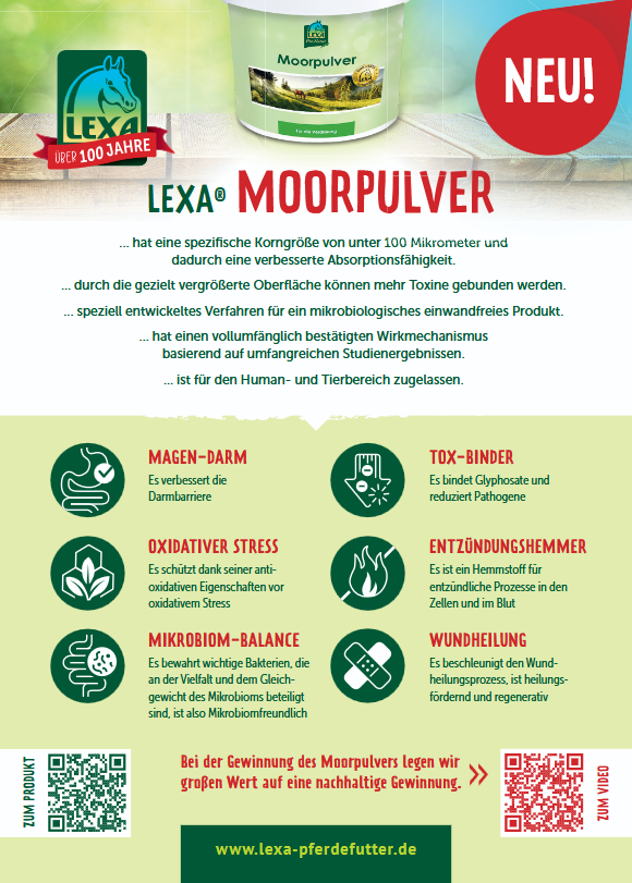 Informationsflyer zu LEXA Moorpulver mit Angaben zu Korngröße, Absorptionsfähigkeit und beworbenen Wirkungen auf Magen, Darm und Mikrobiom. QR-Codes führen zum Produkt und zum Video.