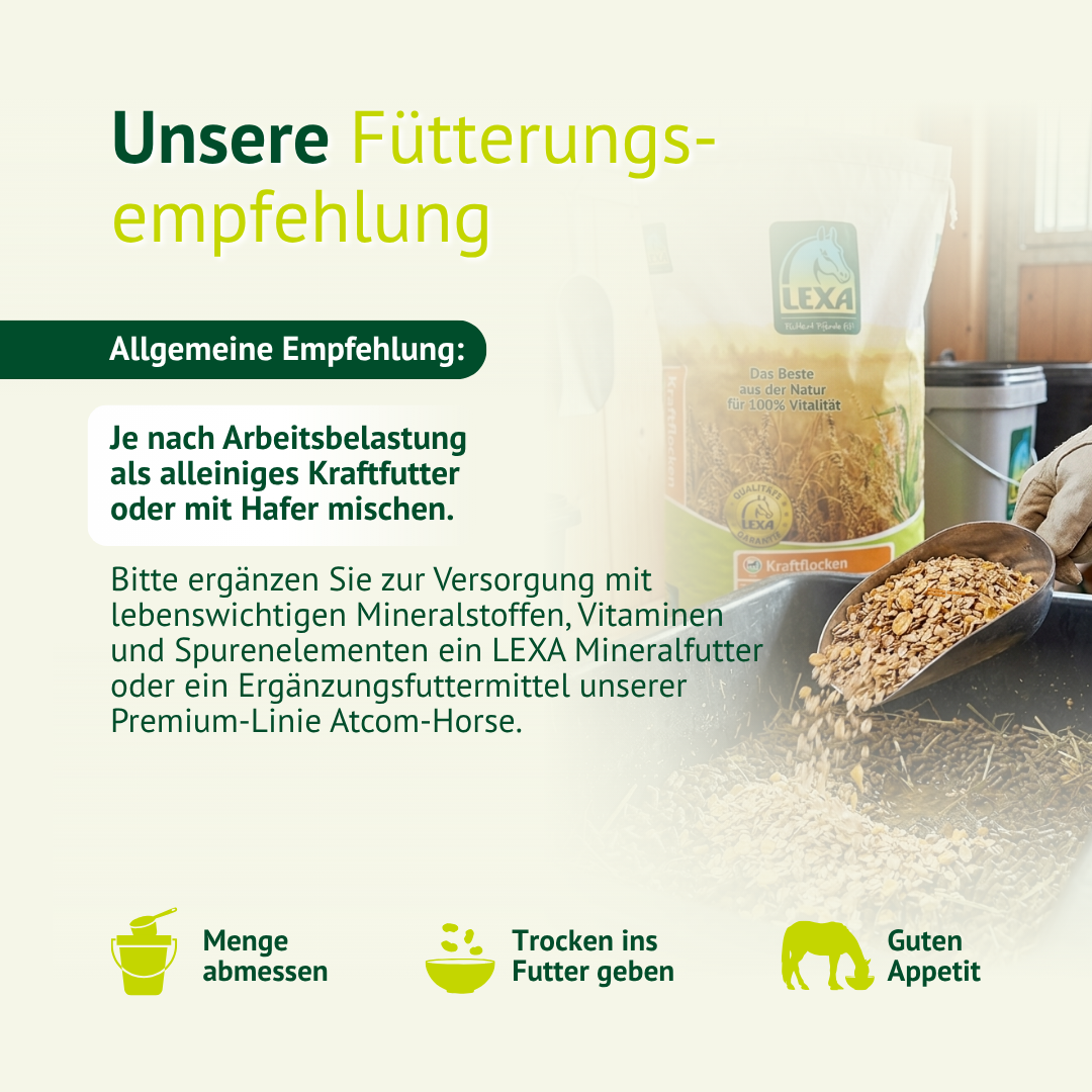 Pferd in guter Kondition durch energiereiches Kraftfutter mit Flocken