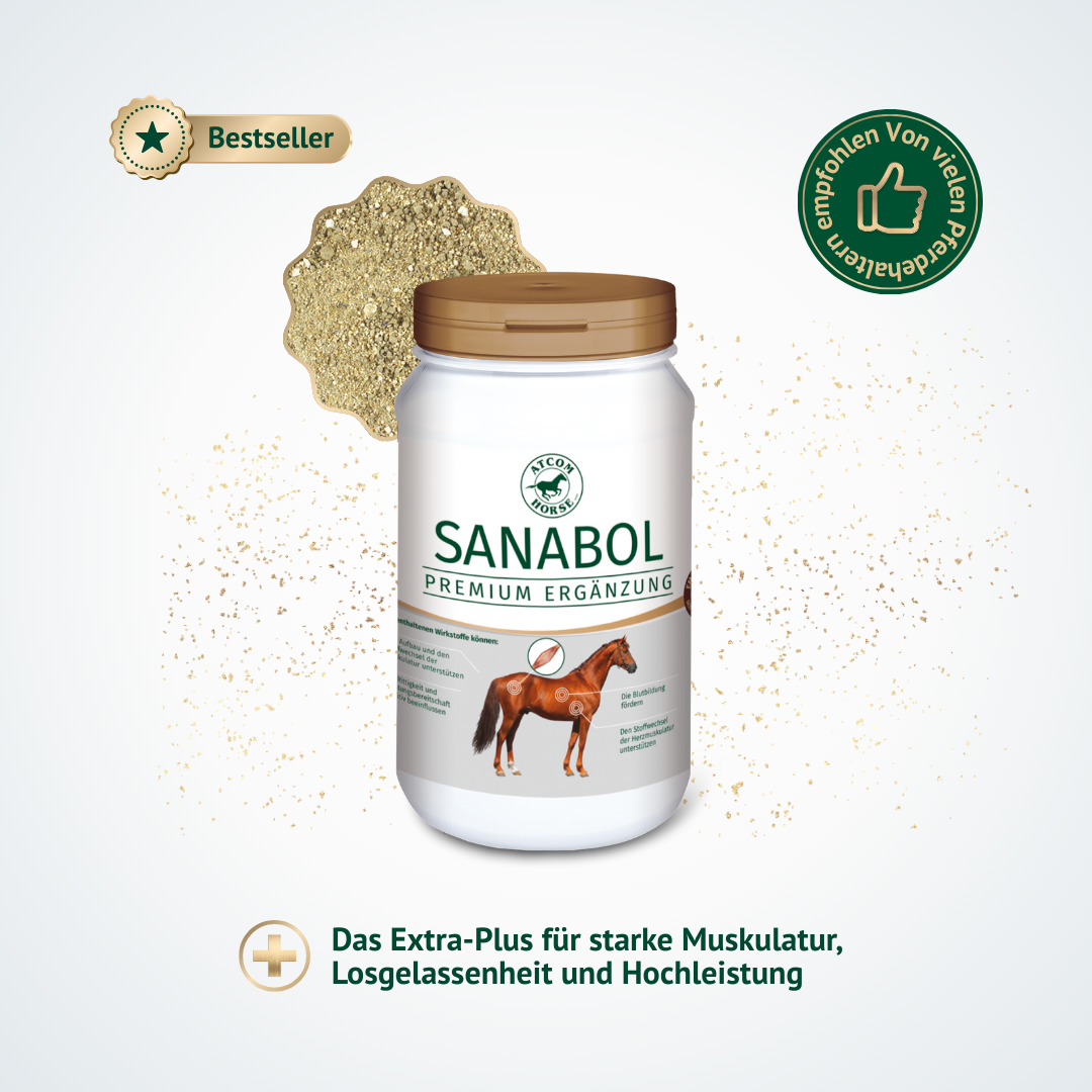 Produktdose ATCOM Sanabol – Premium Ergänzungsfutter zur Unterstützung von Muskulatur, Leistungsfähigkeit und Losgelassenheit beim Pferd