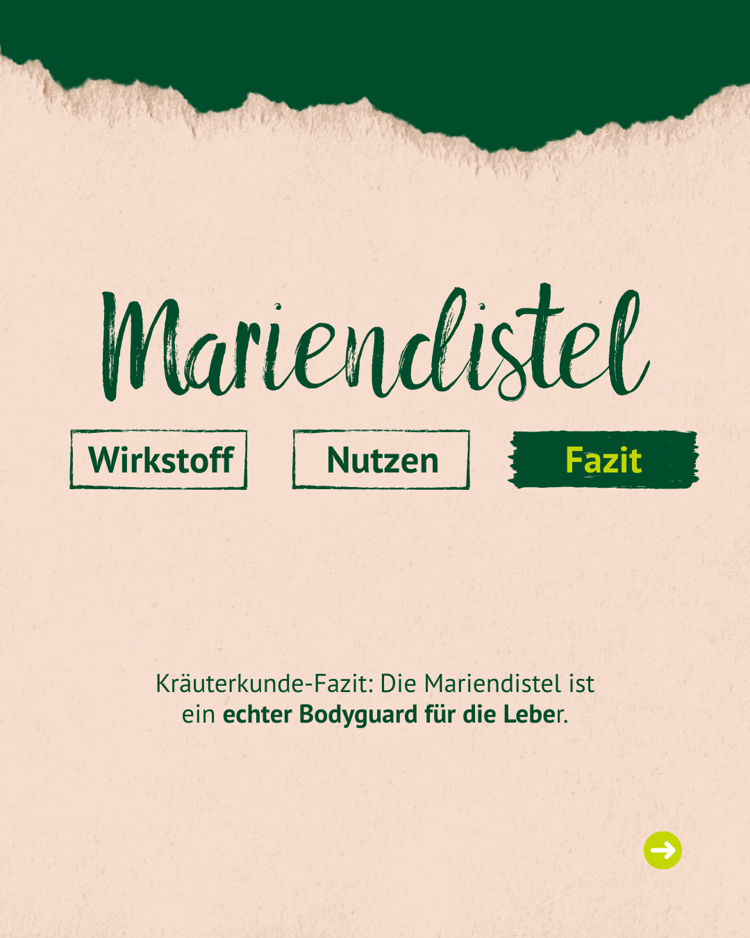Bild mit Text zum Mariendistel