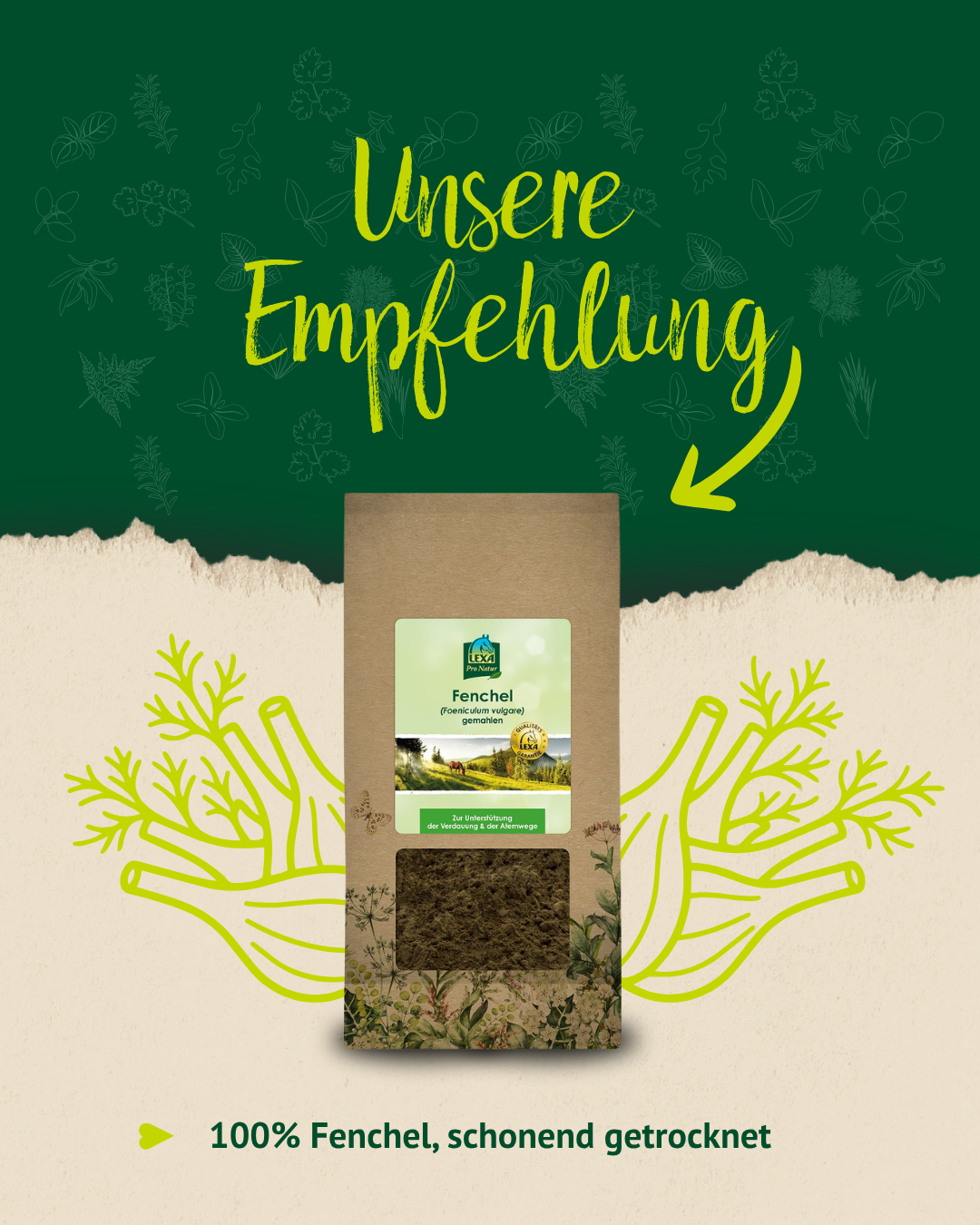 Fenchel Empfehlung für Pferde – schonend getrocknetes Naturprodukt