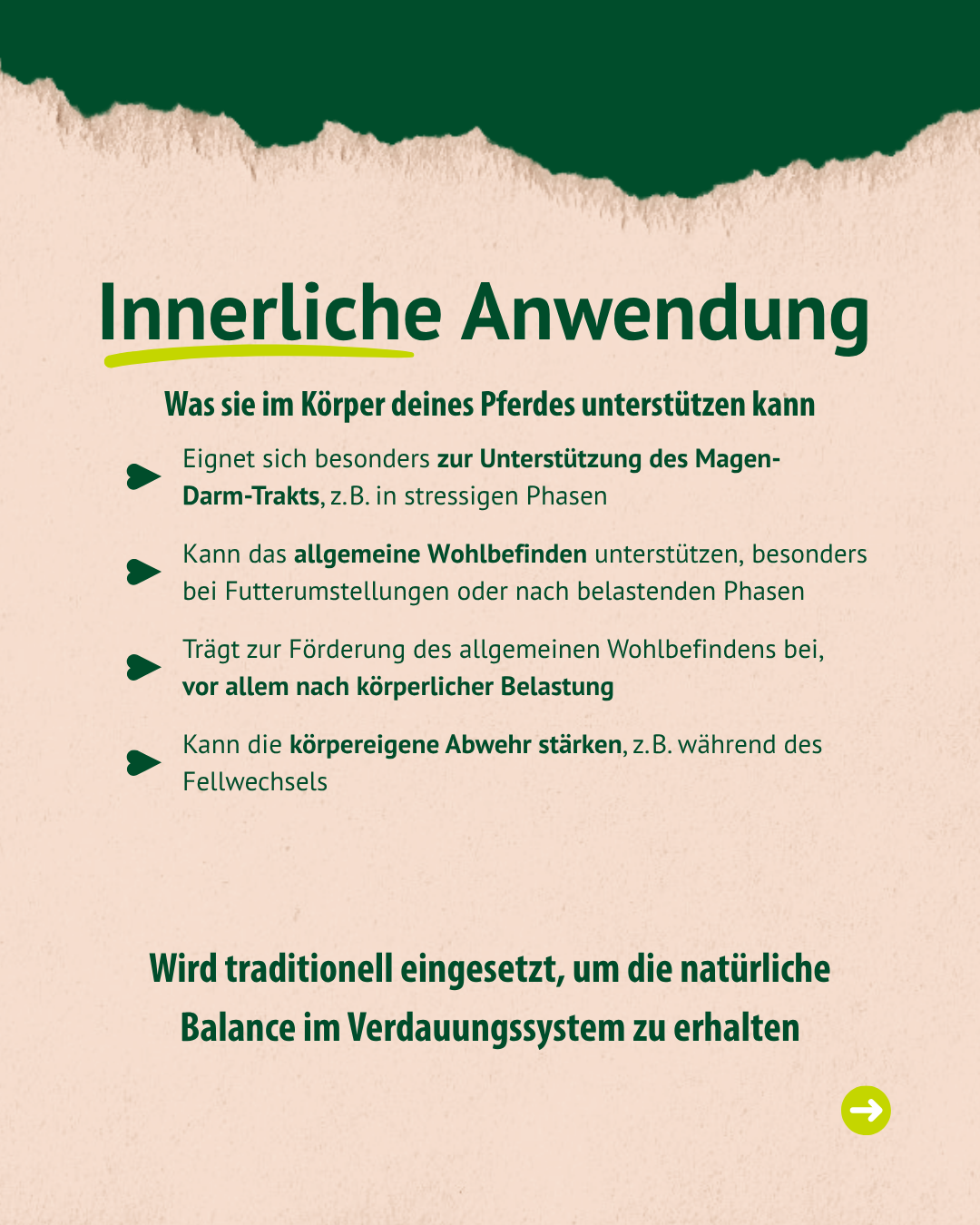 Beschreibung der Anwendung der Ringelblume