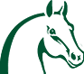 Pferdekopf-Logo Grünes Logo eines Pferdekopfes auf schwarzem Hintergrund.