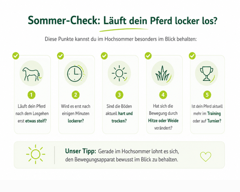 Sommer-Check für die Beweglichkeit des Pferdes