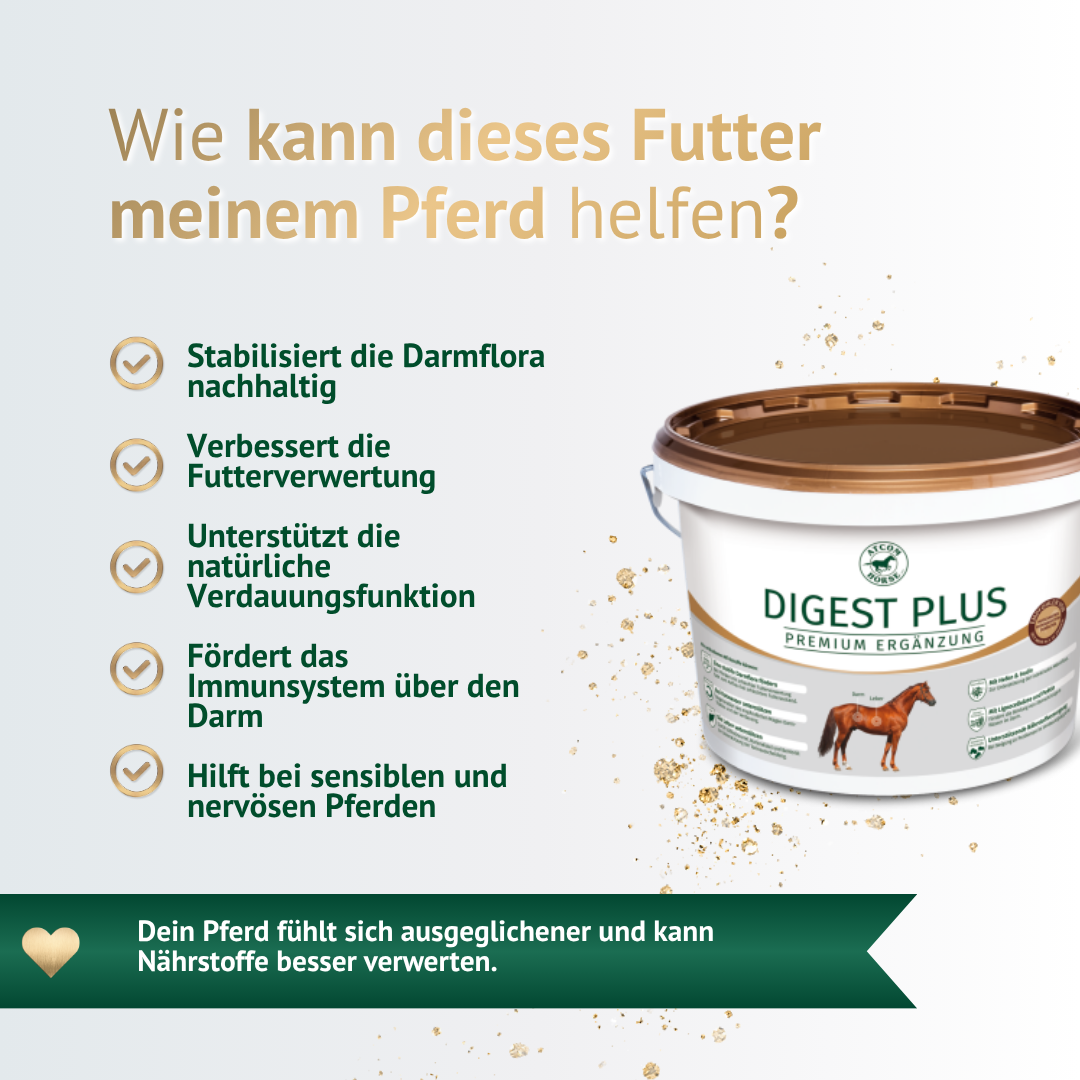 Vorteile von Digest Plus für Pferde – stabile Darmflora, bessere Futterverwertung und starke Verdauung