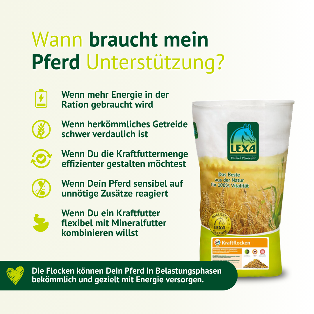 Pferdefutter Kraftflocken – ideal für aktive Pferde mit erhöhtem Energiebedarf