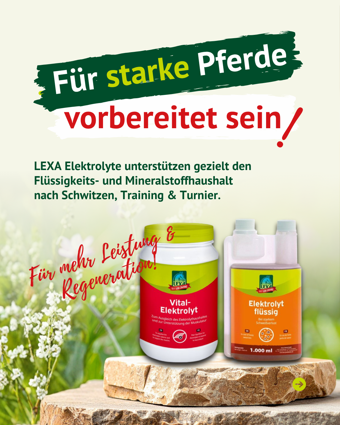 Elektrolyte unterstützen Wasserhaushalt und Leistungsfähigkeit beim Pferd