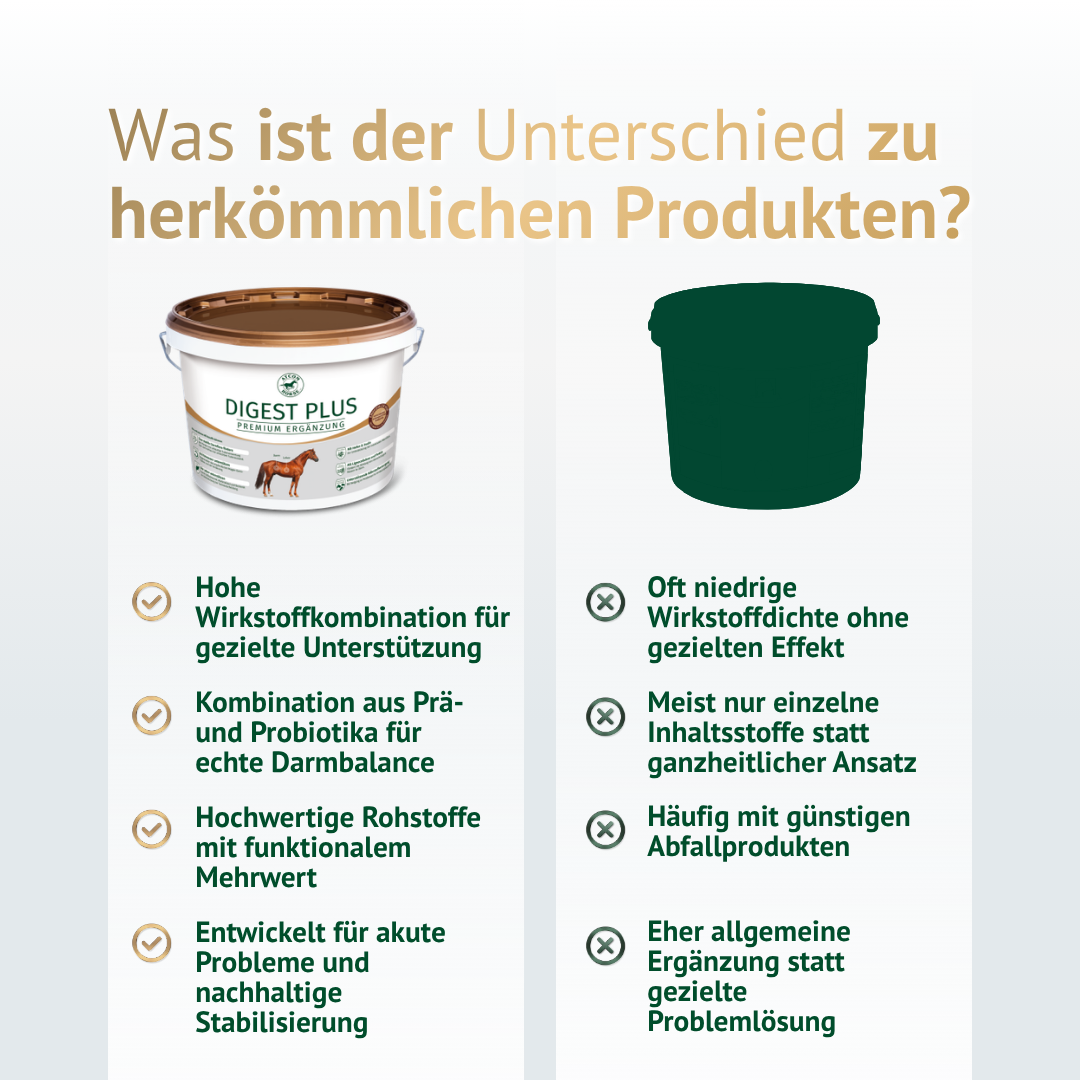Unterschied Digest Plus zu herkömmlichen Produkten – hochwertige Inhaltsstoffe und gezielte Wirkung