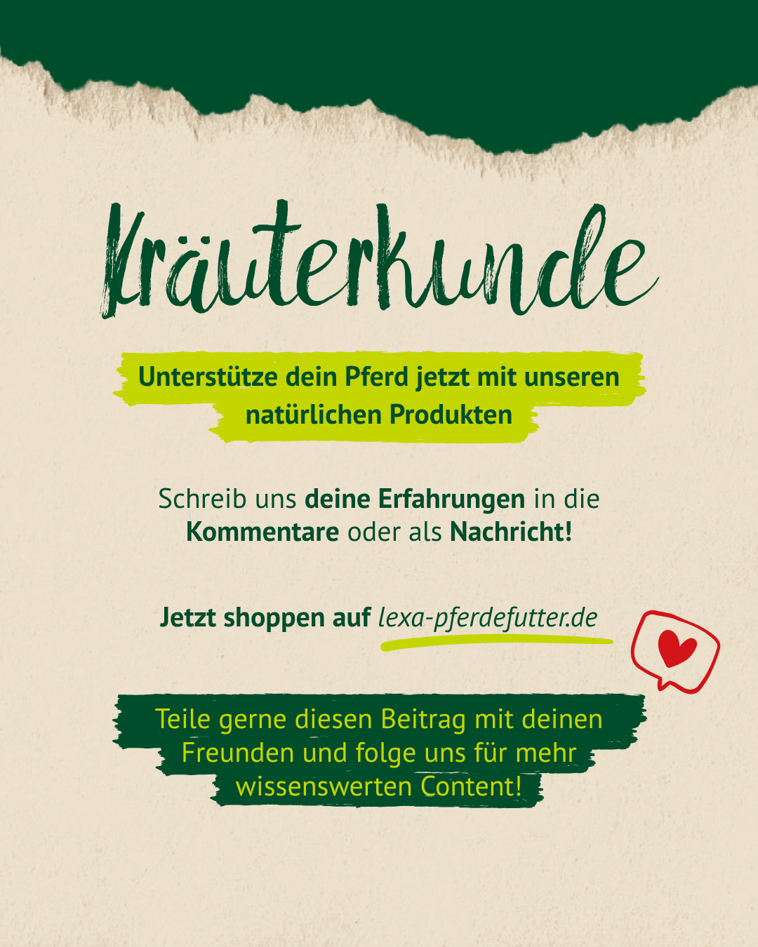 Fütterungsempfehlung Meerrettich für Pferde und Ponys – richtige Dosierung leicht erklärt