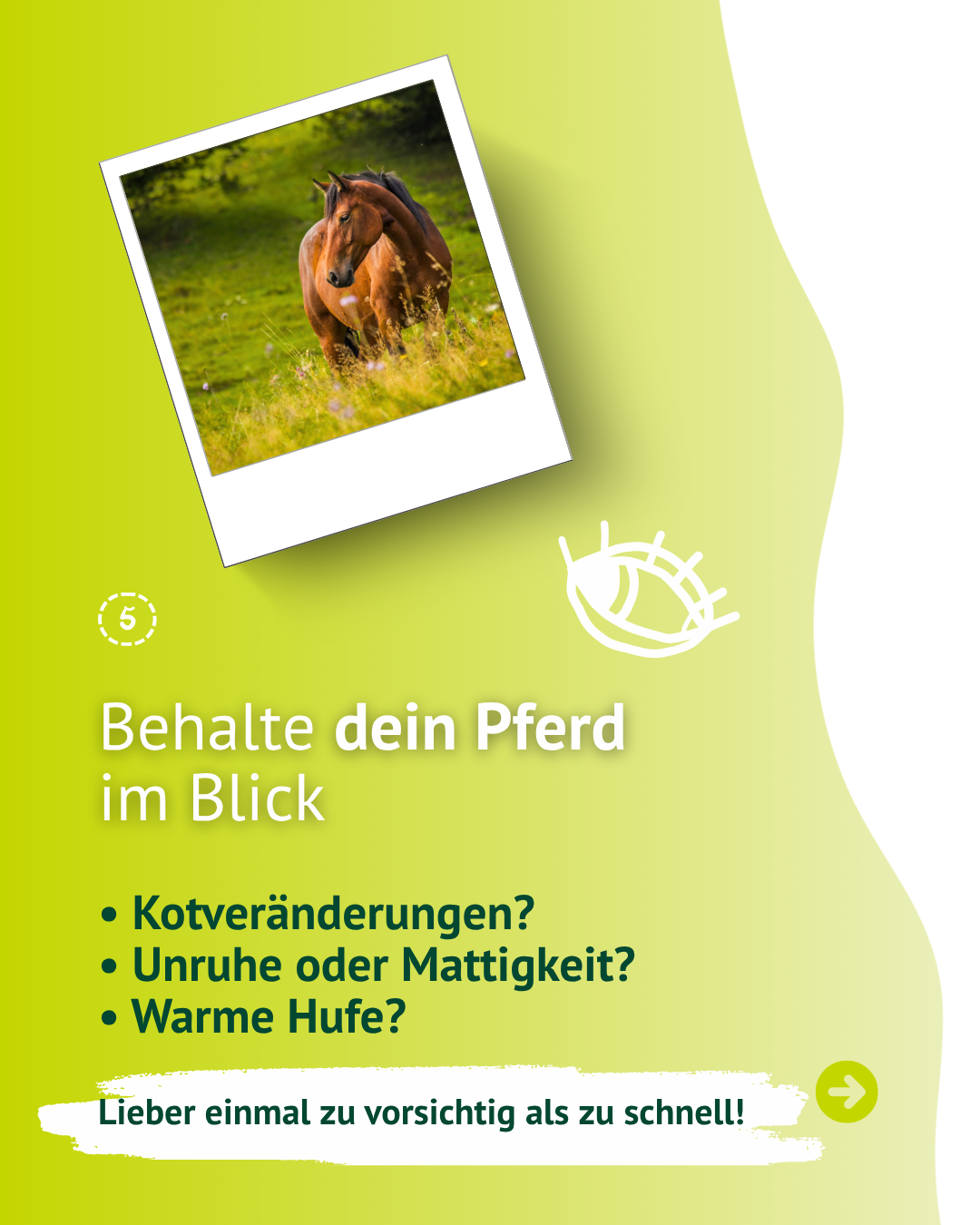 Infografik zu kritischen Bedingungen beim Anweiden wie Frost, Sonne, kurzes Gras und junges Gras