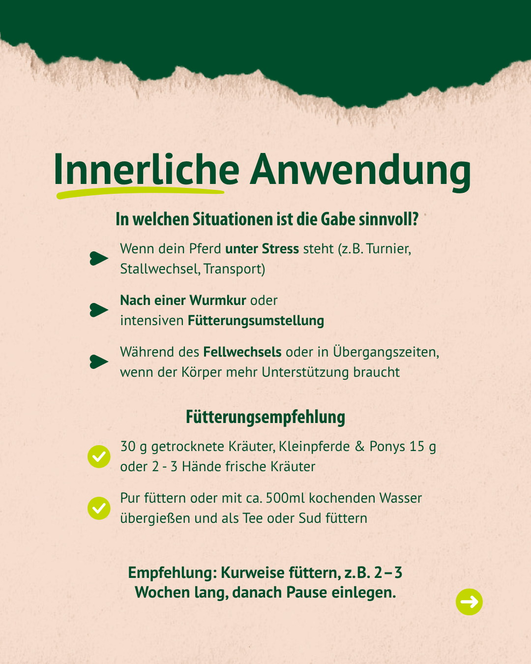 Beschreibung der Anwendung der Ringelblume