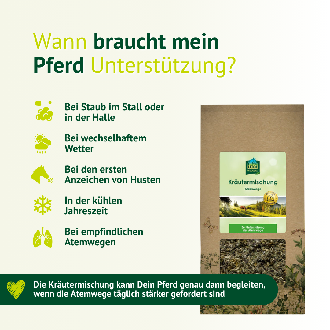 Wann braucht dein Pferd Unterstützung der Atemwege – typische Situationen wie Staub, Wetterwechsel oder Hustenanzeichen