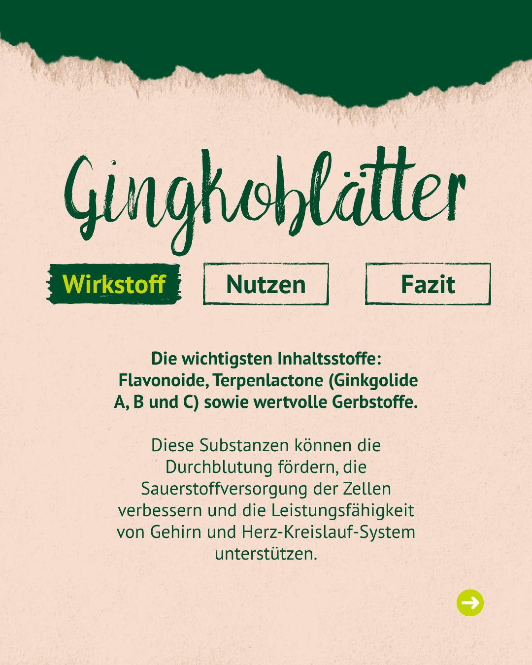 Mensch füttert Pferd mit Heu Heuanalyse Pferd: was bringt eine Heuanalyse?