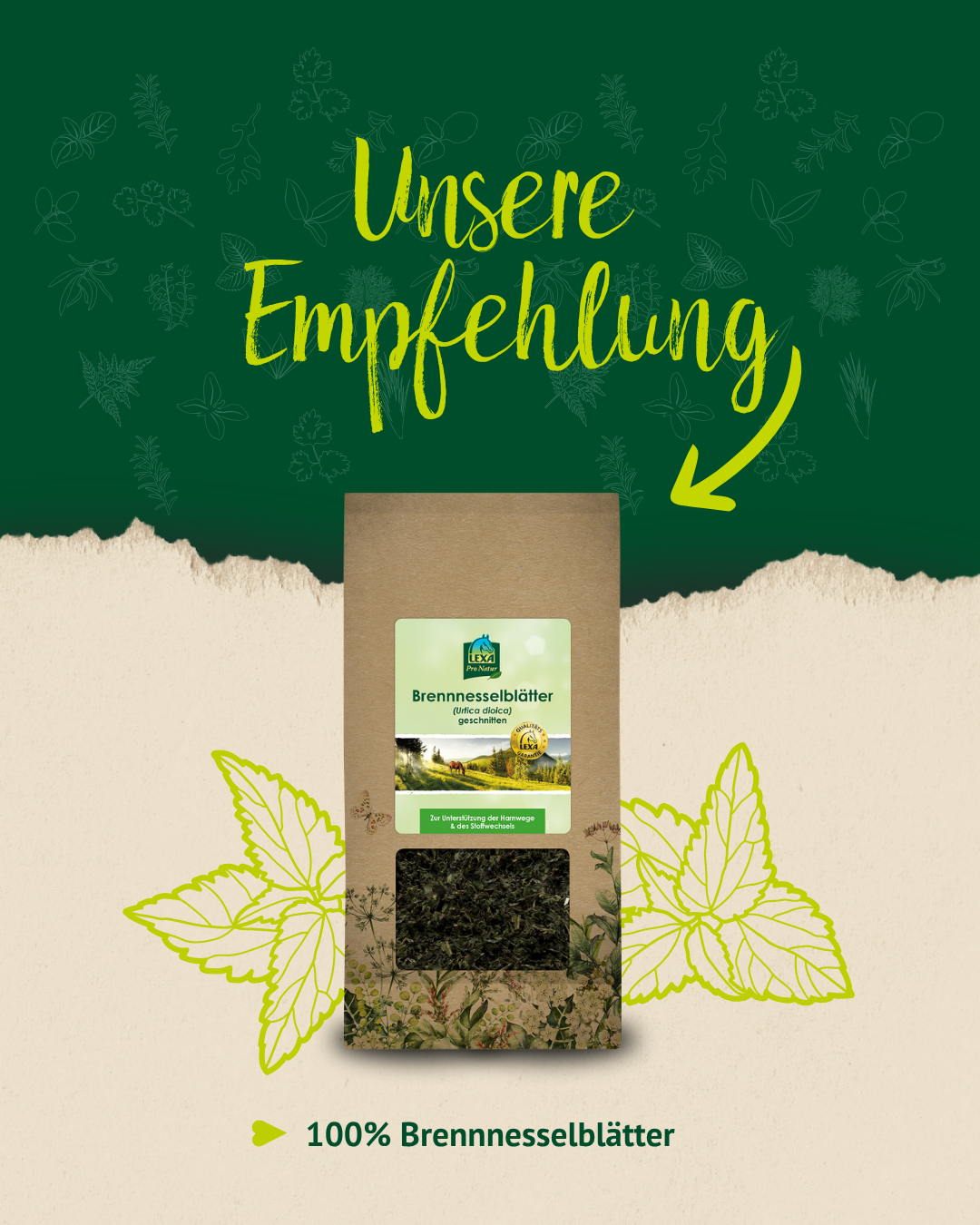Getrocknete Brennnessel als natürliche Futterergänzung für Pferde im Produktbild