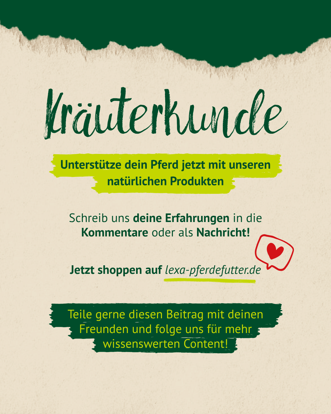 Kräuterkunde Rote Beete Abschluss – natürliche Vitalstoffe für dein Pferd jetzt entdecken