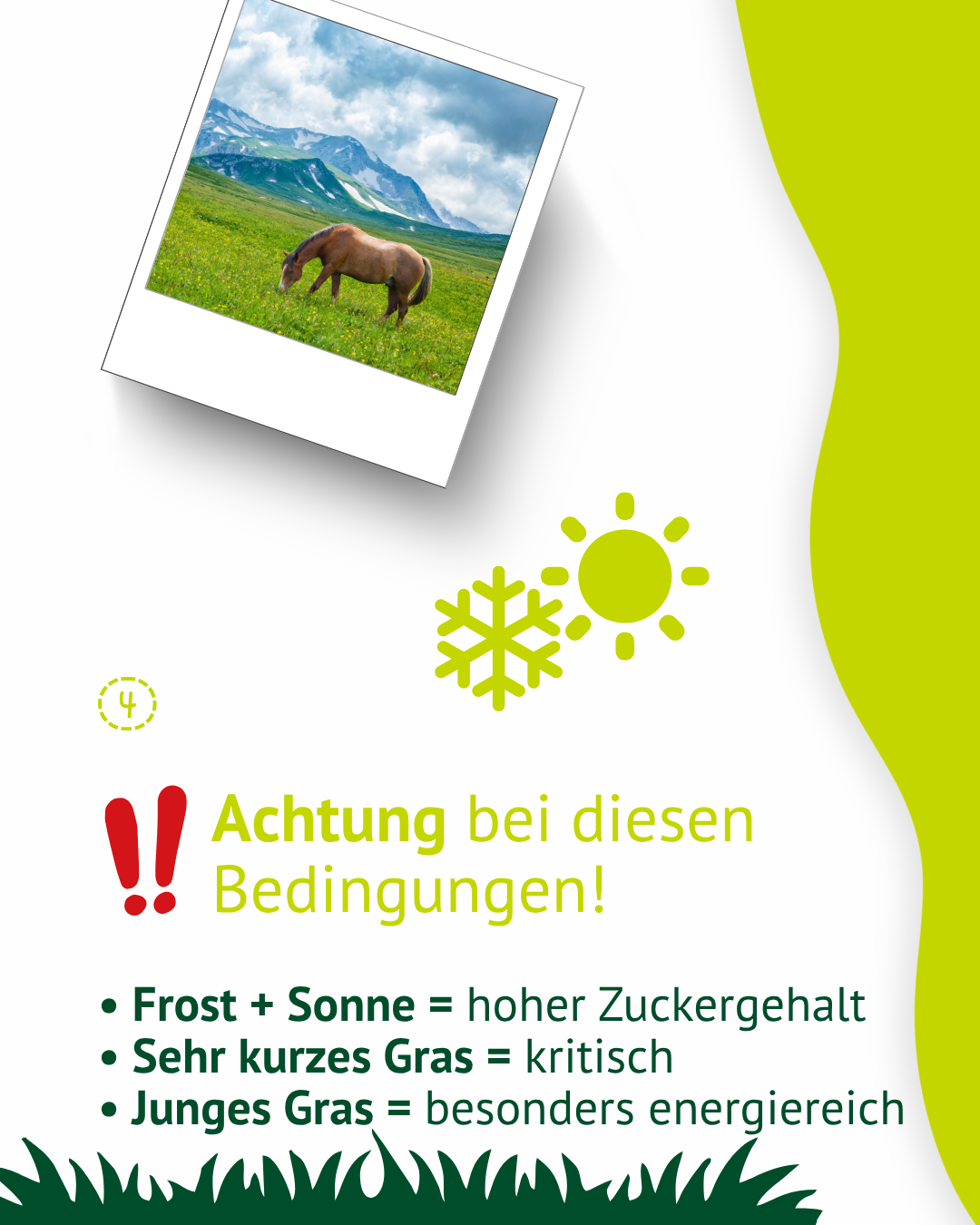 Infografik zur Vorbereitung vor dem Anweiden mit Hinweis auf Heuf&uuml;tterung und ruhigen Start