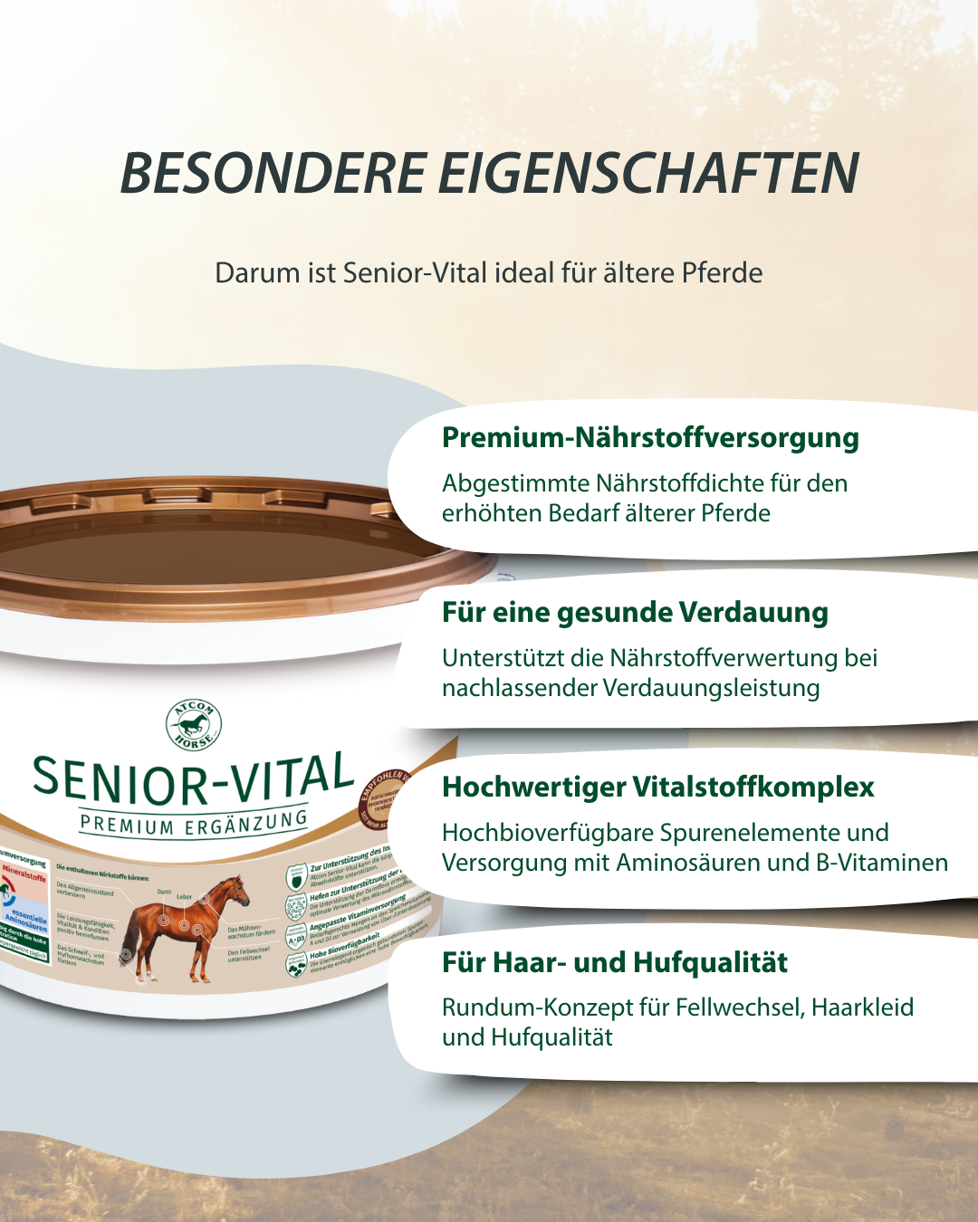 Grafik mit den besonderen Eigenschaften von Senior-Vital für ältere Pferde: Premium-Nährstoffversorgung, Unterstützung einer gesunden Verdauung, hochwertiger Vitalstoffkomplex sowie ein Rundum-Konzept für Haar- und Hufqualität.