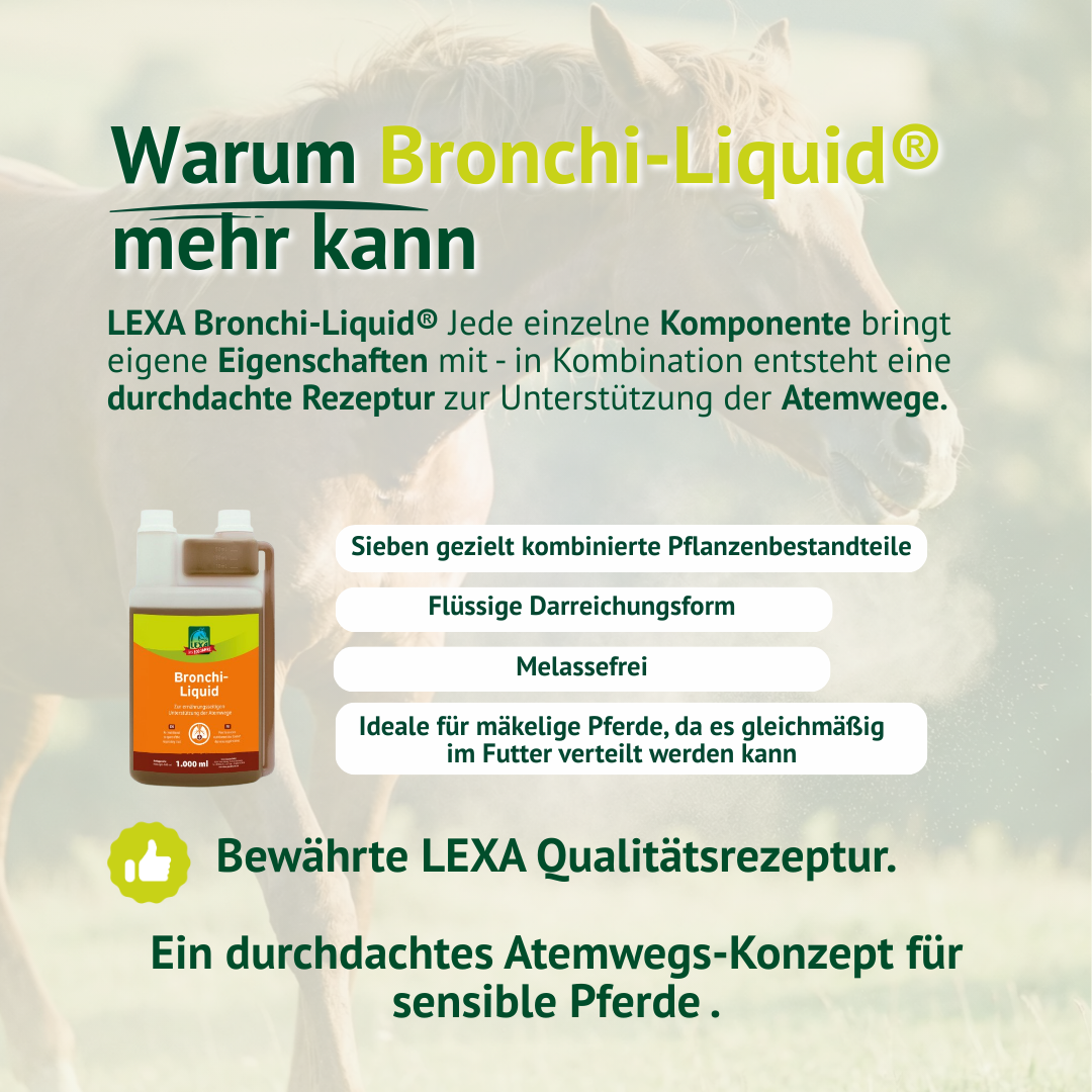 Warum Bronchi Liquid mehr kann – sieben kombinierte Pflanzenbestandteile in flüssiger, melassefreier Rezeptur für sensible Pferde.