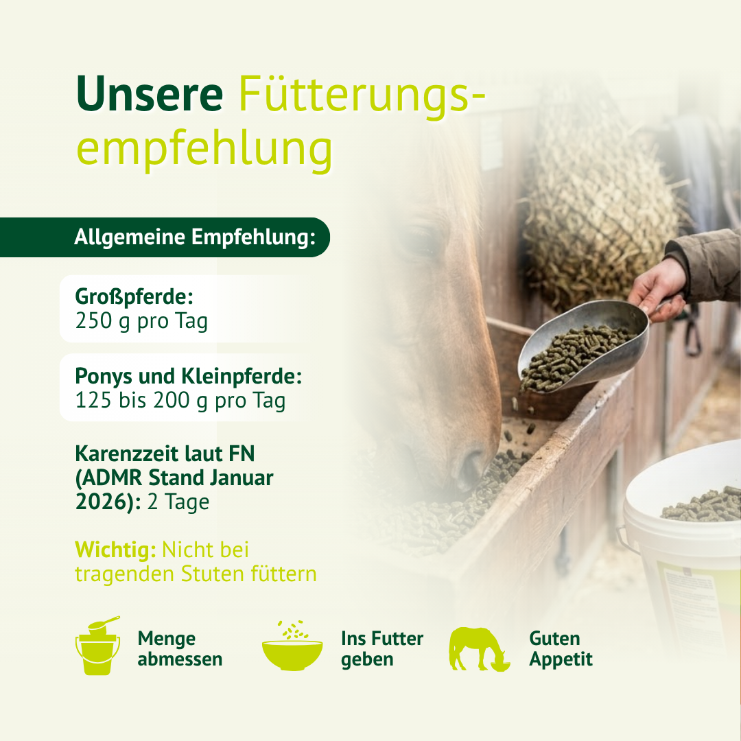 Pferd mit freier Atmung und gesunden Bronchien dank Bronchi Vital Zusatzfutter