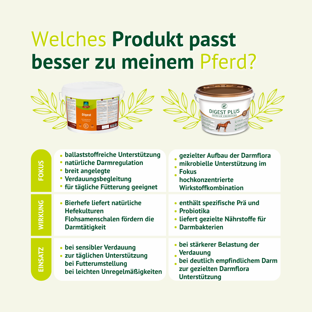 Verdauungsfutter für Pferde im Vergleich – natürliche Unterstützung für Magen und Darm gegenüber Standardfutter