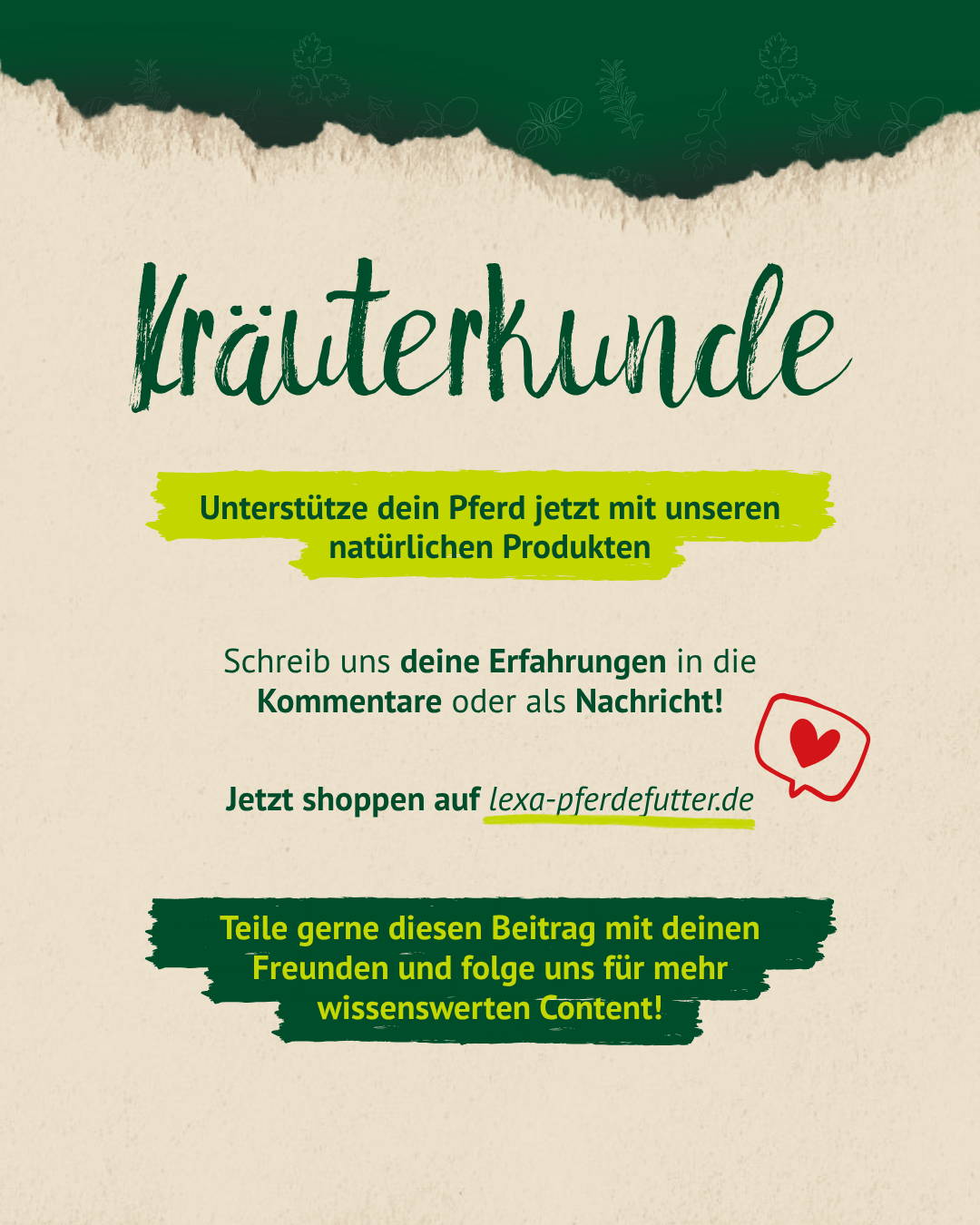Abschlussgrafik Kräuterkunde Löwenzahn mit Hinweis auf natürliche Unterstützung für Pferde und Call-to-Action