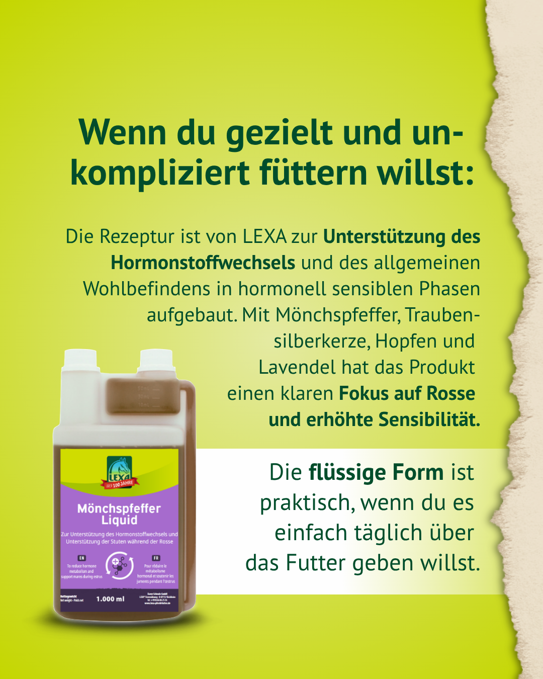 Stute während der Rosse auf der Weide