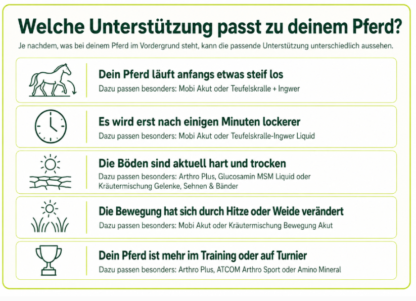 Passende Futterergänzung für unterschiedliche Bedürfnisse des Bewegungsapparates