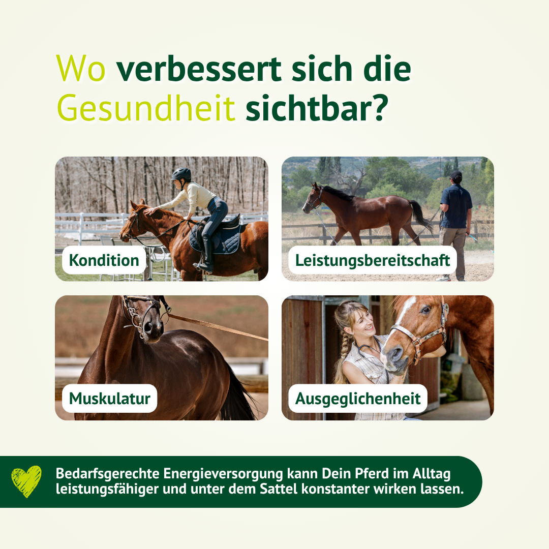 Inhaltsstoffe von Kraftflocken Pferdefutter mit Getreideflocken und wichtigen Nährstoffen