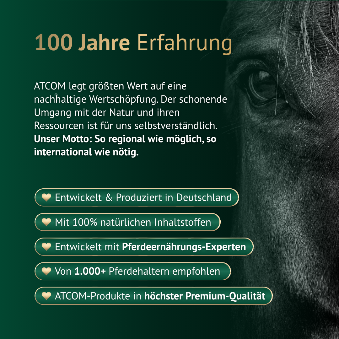 100 Jahre Erfahrung in Pferdefutter – hochwertige Herstellung und natürliche Inhaltsstoffe