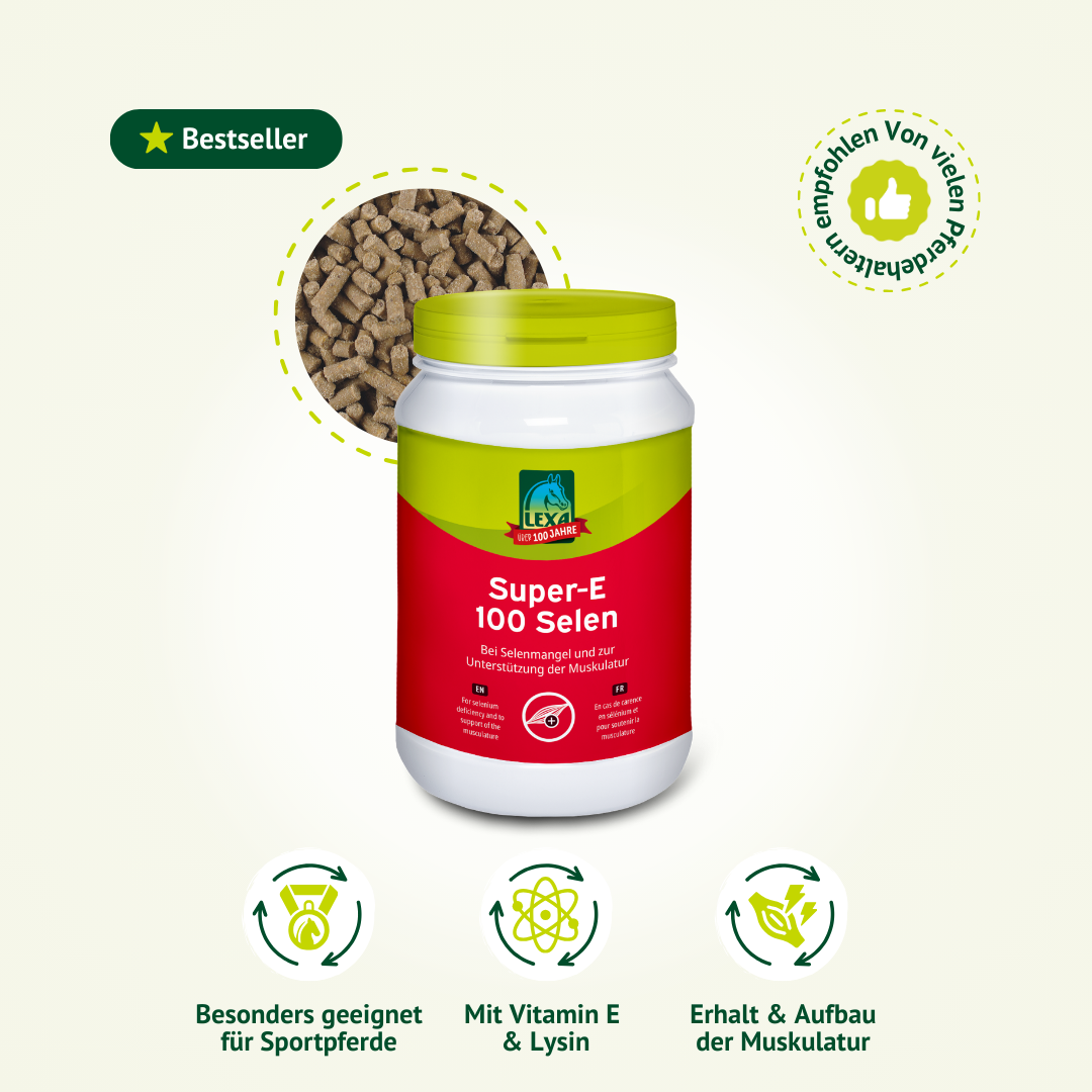 LEXA Super-E 100 Selen Ergänzungsfuttermittel für Pferde mit Pellets und Produktvorteilen im Überblick