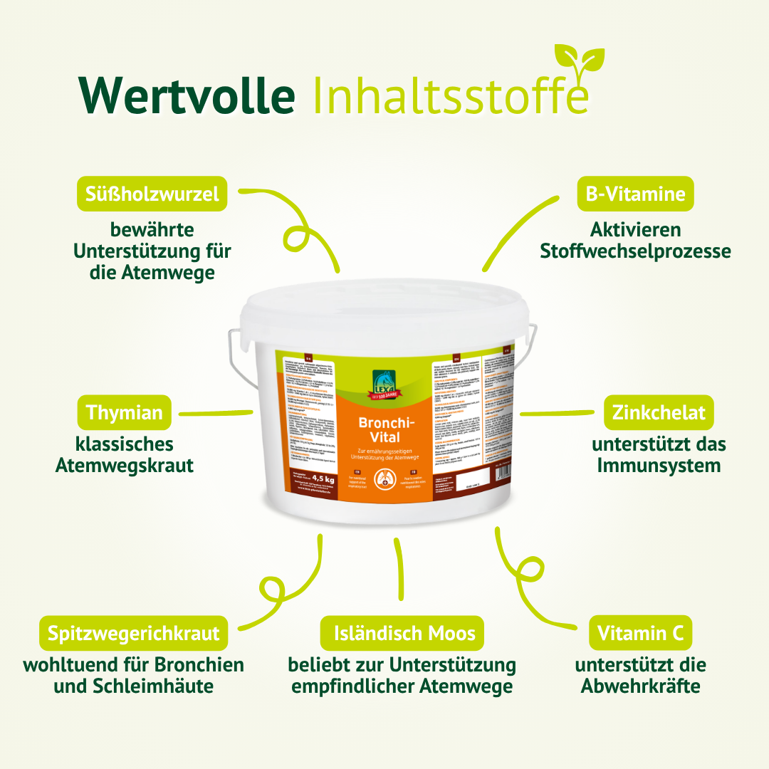Inhaltsstoffe von Bronchi Vital für Pferde – Kräuter, Vitamin C, Zink und B-Vitamine für gesunde Atemwege