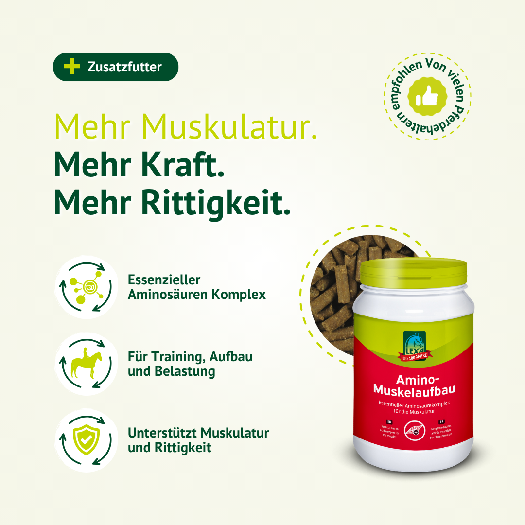 LEXA Amino Muskelaufbau für Pferde – Ergänzungsfutter zur Unterstützung von Muskulatur, Kraft und Rittigkeit mit essenziellem Aminosäuren-Komplex.