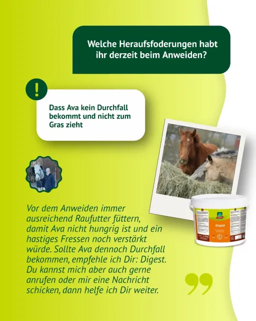 melasse dünger dosierung 20 kg VERDURMAX® Premium Herbst Rasendünger– Höfer Chemie GmbH main image 1